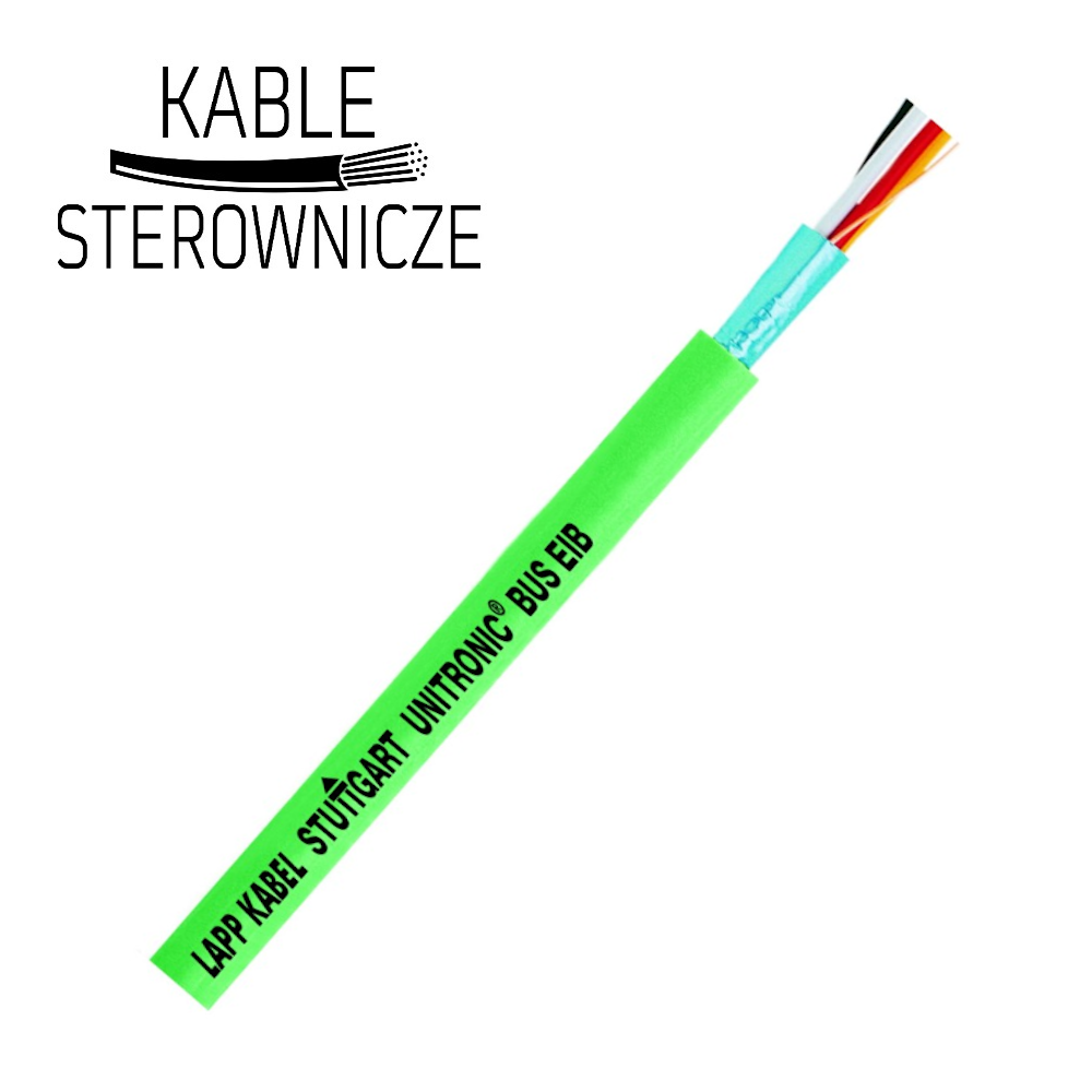 dracena draco pflege Dracaena draco – Drachenbaum mit Schwertblättern main image 0